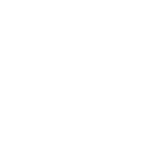 Plane - lisztium.com